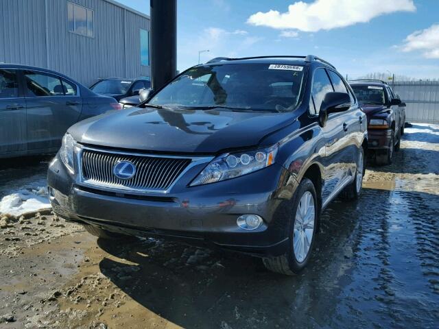 JTJBC1BA6A2008683 - 2010 LEXUS RX 450 BLUE photo 2