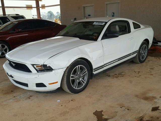 1ZVBP8AN7A5136463 - 2010 FORD MUSTANG WHITE photo 2