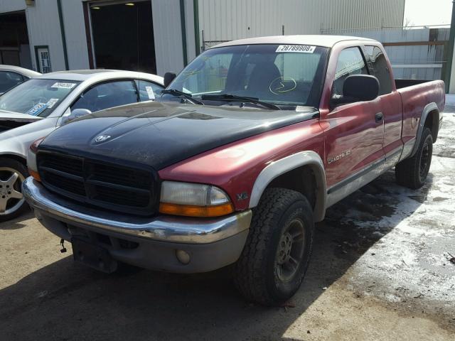 1B7GG22Y9XS295669 - 1999 DODGE DAKOTA RED photo 2