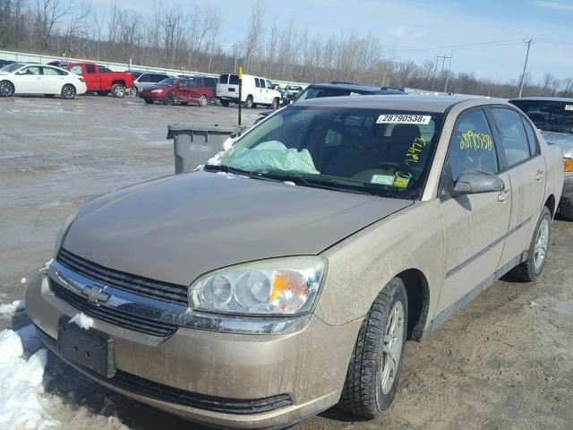 1G1ZS52F75F322325 - 2005 CHEVROLET MALIBU GOLD photo 2