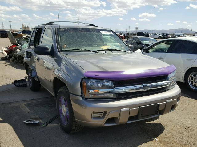 1GNDT13S962171569 - 2006 CHEVROLET TRAILBLAZE GRAY photo 1