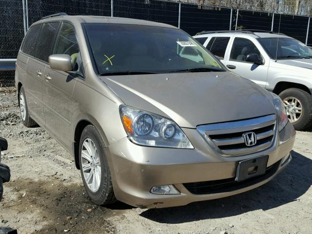 5FNRL38885B130756 - 2005 HONDA ODYSSEY TO GOLD photo 1