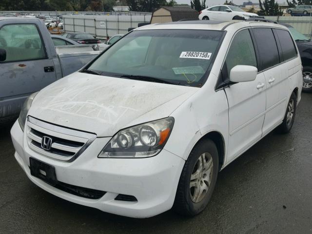 5FNRL38605B424537 - 2005 HONDA ODYSSEY EX WHITE photo 2