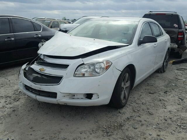 1G1ZA5EU1CF348459 - 2012 CHEVROLET MALIBU LS 白色 照片 2