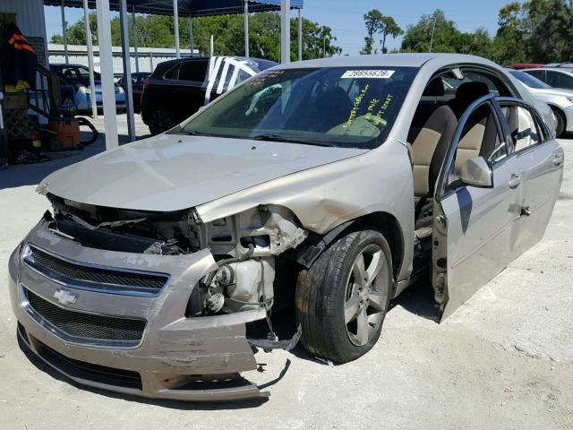 1G1ZC5E17BF151505 - 2011 CHEVROLET MALIBU 1LT 金色 照片 2