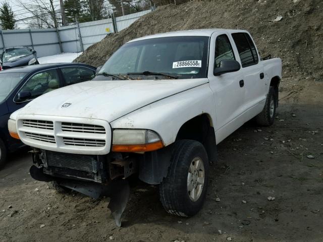 1B7GG2AXX1S200164 - 2001 DODGE DAKOTA QUA WHITE photo 2