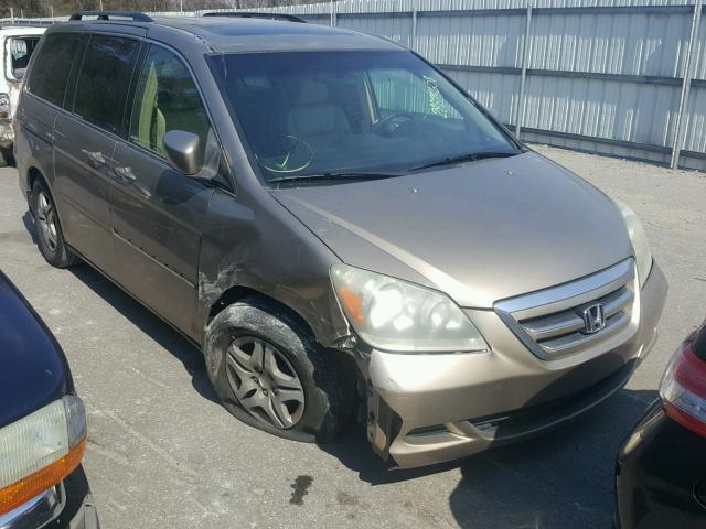 5FNRL38735B016381 - 2005 HONDA ODYSSEY EX GOLD photo 1