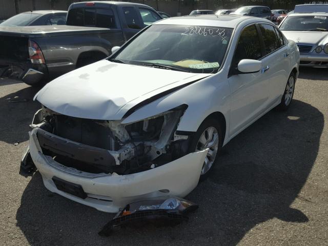 1HGCP36888A077259 - 2008 HONDA ACCORD EXL WHITE photo 2