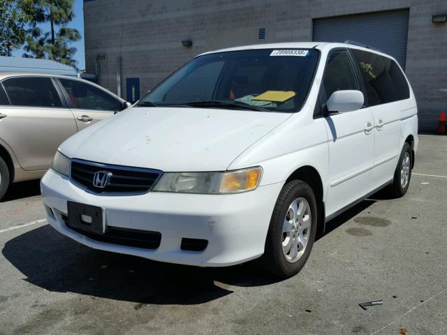 5FNRL18654B148746 - 2004 HONDA ODYSSEY EX WHITE photo 2