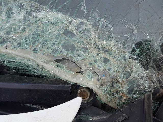 2HGFA1F64BH533641 - 2011 HONDA CIVIC LX-S Սպիտակ լուսանկար 10