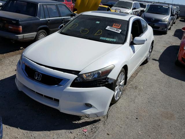 1HGCS2B82AA009995 - 2010 HONDA ACCORD EXL WHITE photo 2