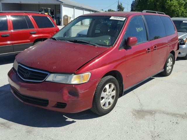 5FNRL18913B135856 - 2003 HONDA ODYSSEY EX RED photo 2