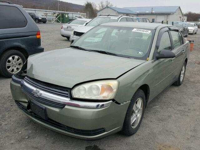 1G1ZT54885F177792 - 2005 CHEVROLET MALIBU LS მწვანე ფოტო 2