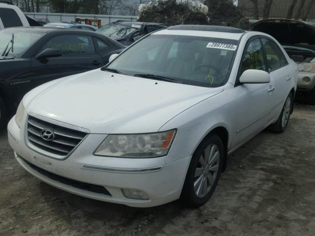 5NPEU46C19H491892 - 2009 HYUNDAI SONATA SE WHITE photo 2