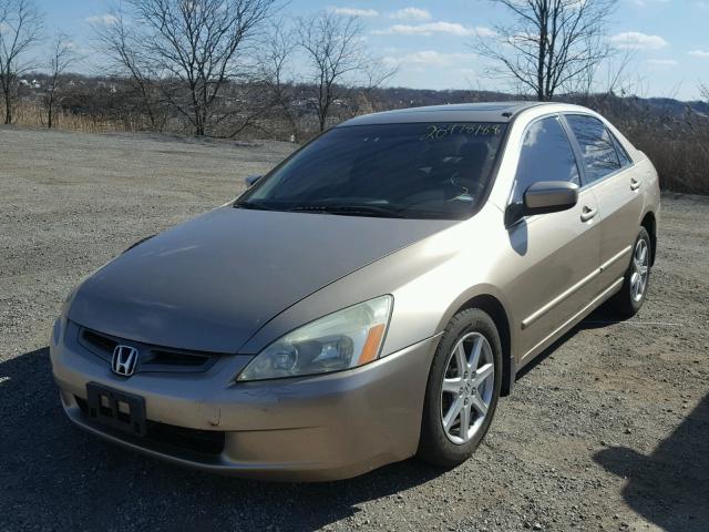 1HGCM66543A084587 - 2003 HONDA ACCORD EX TAN photo 2