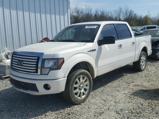 1FTFW1E64BFA28556 - 2011 FORD F150 SUPER WHITE photo 2