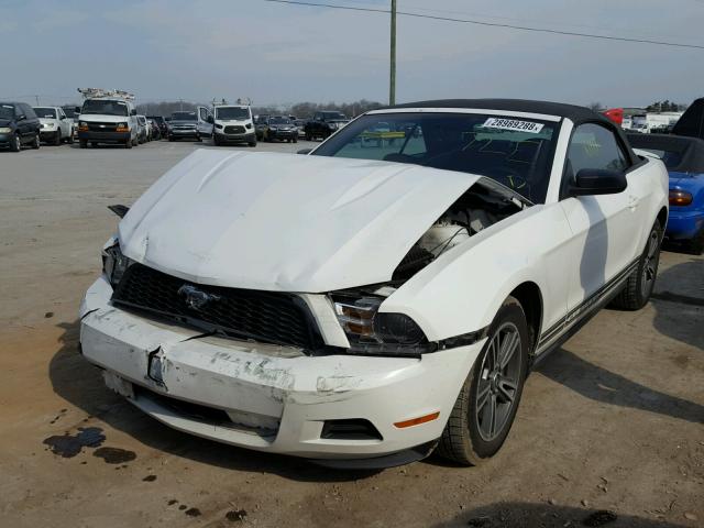 1ZVBP8EN0A5107574 - 2010 FORD MUSTANG WHITE photo 2