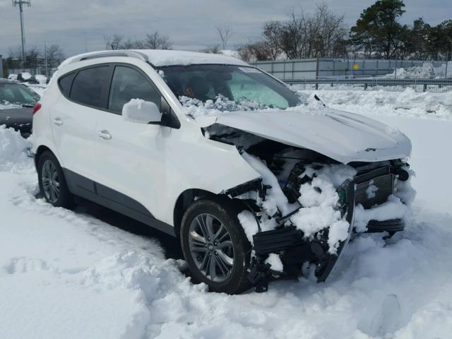 KM8JUCAG2FU094613 - 2015 HYUNDAI TUCSON LIM WHITE photo 1