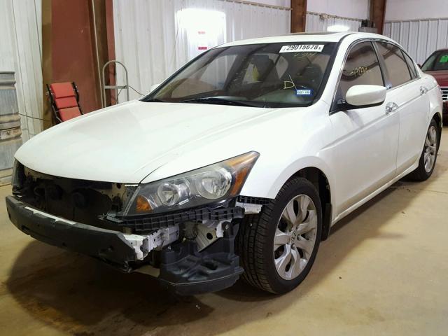 1HGCP3F81AA017314 - 2010 HONDA ACCORD EXL WHITE photo 2