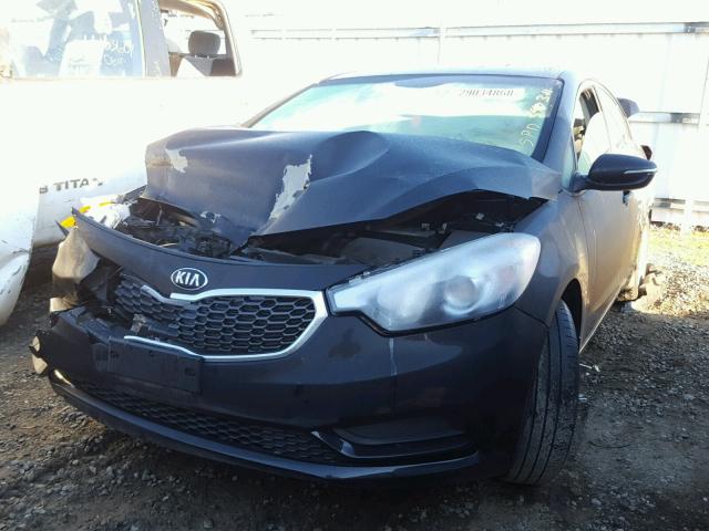 KNAFX4A64G5497483 - 2016 KIA FORTE LX BLACK photo 2