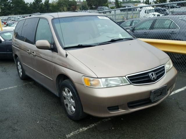 5FNRL180X3B075528 - 2003 HONDA ODYSSEY EX GOLD photo 1