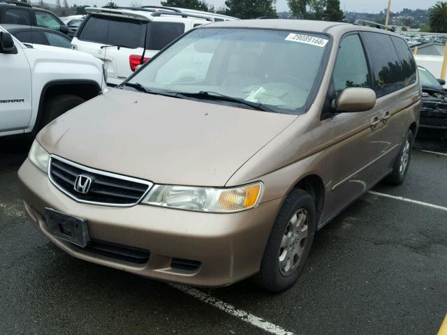 5FNRL180X3B075528 - 2003 HONDA ODYSSEY EX GOLD photo 2