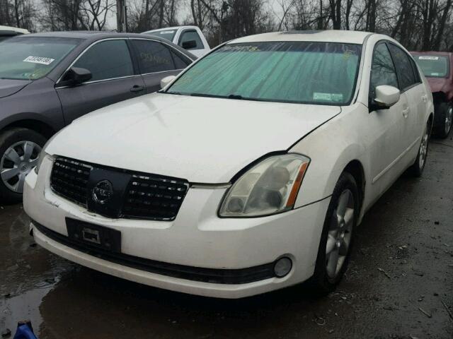 1N4BA41E84C865753 - 2004 NISSAN MAXIMA SE WHITE photo 2