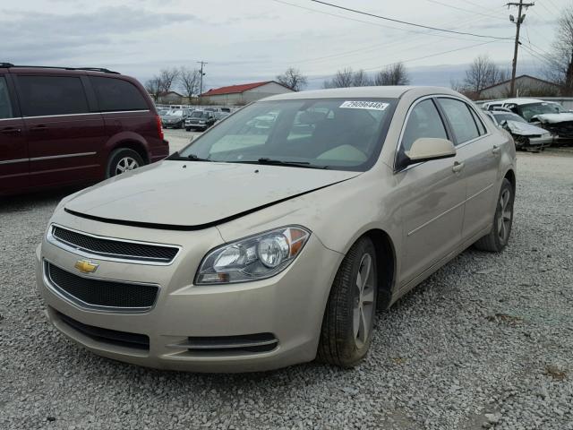 1G1ZC5E15BF290662 - 2011 CHEVROLET MALIBU 1LT 米色 照片 2