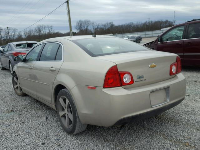 1G1ZC5E15BF290662 - 2011 CHEVROLET MALIBU 1LT 米色 照片 3