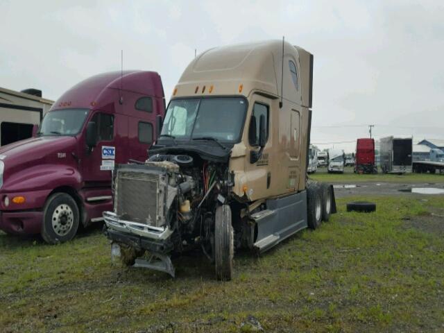 1FUJGLDR6DLBY8372 - 2013 FREIGHTLINER CASCADIA 1 TAN photo 2