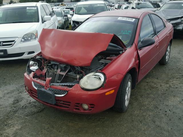 1B3ES56C65D103892 - 2005 DODGE NEON SXT RED photo 2