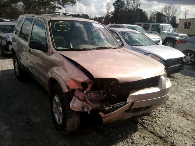 1FMCU04147KB17496 - 2007 FORD ESCAPE LIM GOLD photo 1