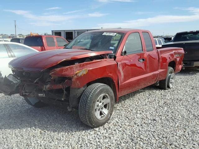 1D7HE32K28S553906 - 2008 DODGE DAKOTA SXT RED photo 2