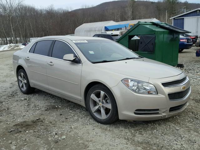 1G1ZC5E11BF129371 - 2011 CHEVROLET MALIBU 1LT 米色 照片 1