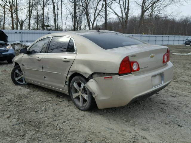 1G1ZC5E11BF129371 - 2011 CHEVROLET MALIBU 1LT 米色 照片 3