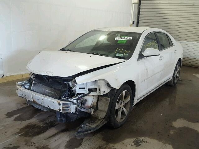 1G1ZC5EU8BF140751 - 2011 CHEVROLET MALIBU 1LT 白色 照片 2