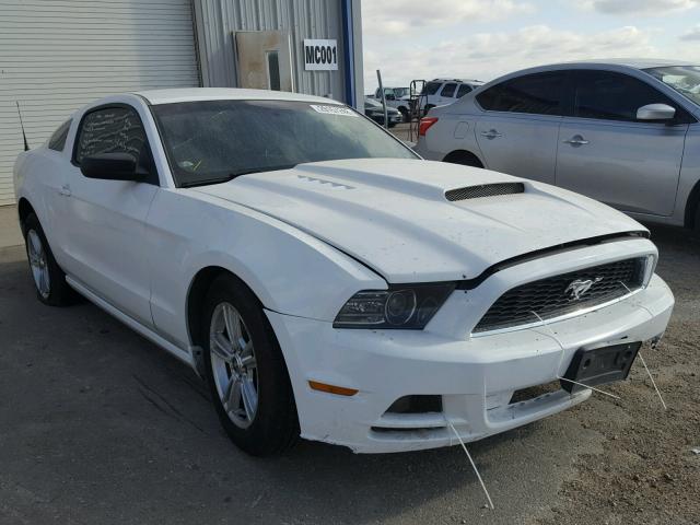 1ZVBP8AM3D5203409 - 2013 FORD MUSTANG WHITE photo 1