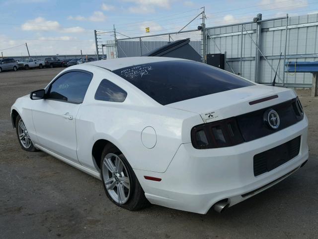 1ZVBP8AM3D5203409 - 2013 FORD MUSTANG WHITE photo 3