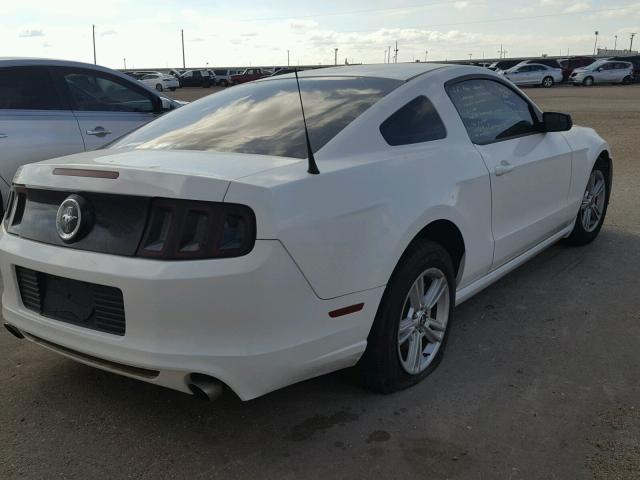 1ZVBP8AM3D5203409 - 2013 FORD MUSTANG WHITE photo 4