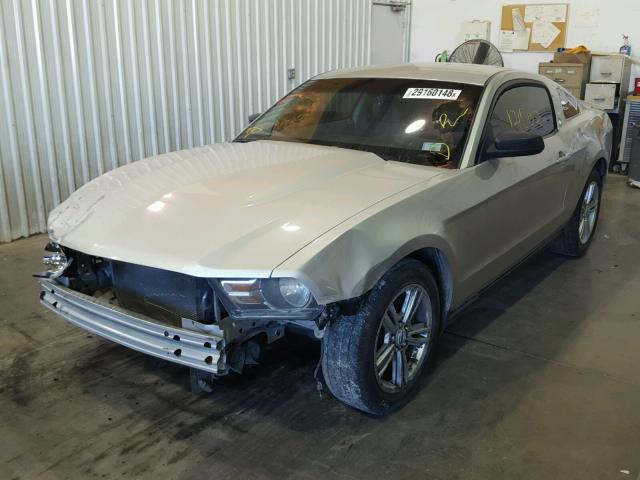 1ZVBP8AN7A5136401 - 2010 FORD MUSTANG SILVER photo 2