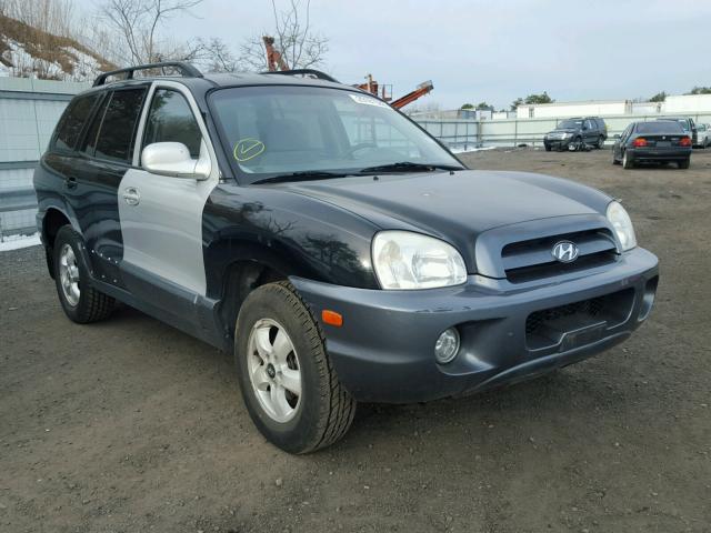 KM8SC13D85U933564 - 2005 HYUNDAI SANTA FE G BLACK photo 1