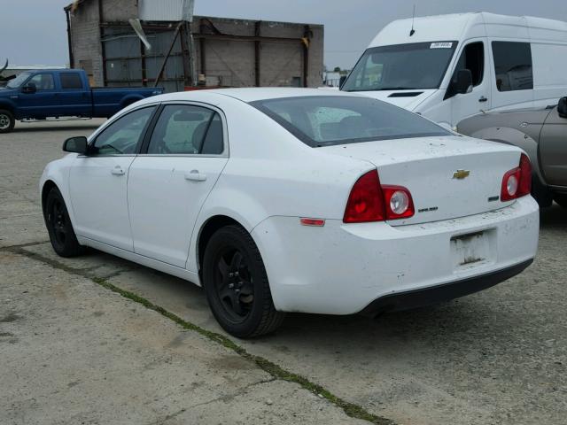 1G1ZA5EUXBF342125 - 2011 CHEVROLET MALIBU LS თეთრი ფოტო 3