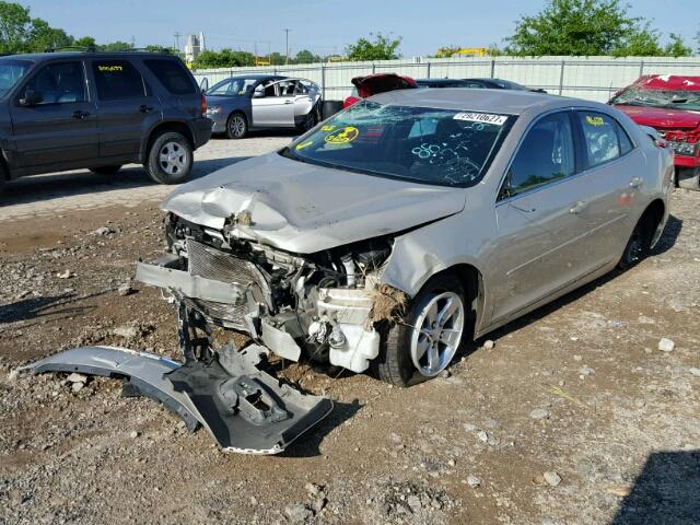 1G11B5SL7EF293413 - 2014 CHEVROLET MALIBU LS 金色 照片 2