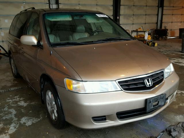 5FNRL18984B045976 - 2004 HONDA ODYSSEY EX GOLD photo 1