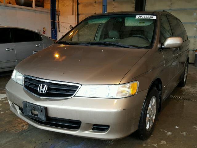 5FNRL18984B045976 - 2004 HONDA ODYSSEY EX GOLD photo 2