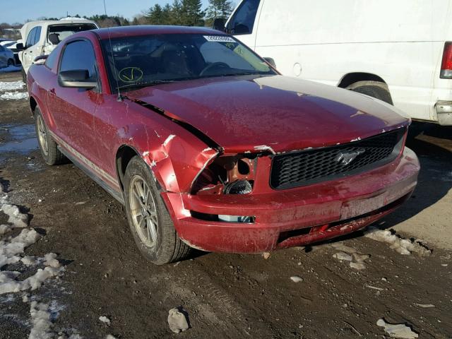 1ZVFT80N455126459 - 2005 FORD MUSTANG RED photo 1