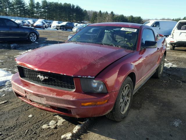 1ZVFT80N455126459 - 2005 FORD MUSTANG RED photo 2