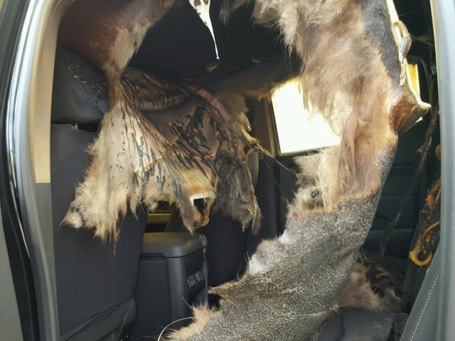 1GCGTCE33G1316765 - 2016 CHEVROLET COLORADO L BLACK photo 9