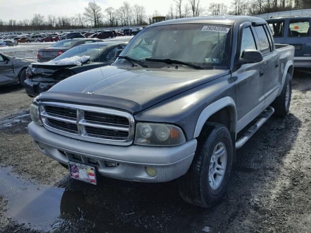 1D7HG48N03S368392 - 2003 DODGE DAKOTA QUA GRAY photo 2