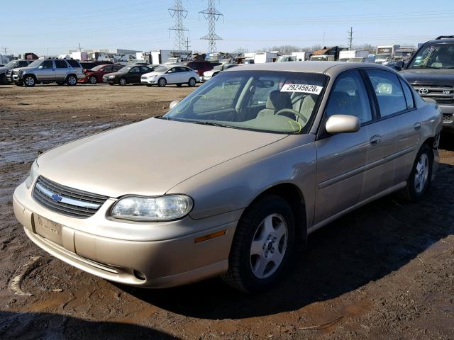 1G1NE52J42M562224 - 2002 CHEVROLET MALIBU LS 金色 照片 2